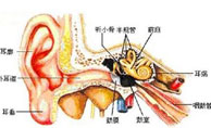 “诊治性鼓窦插管术”治疗中耳炎高效更得力