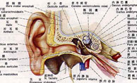 中耳乳突炎的治疗方法有哪些?