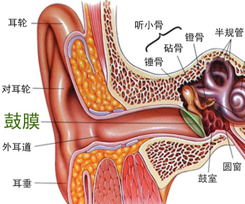 大,所以患上了这个病时要尽早治疗,但有些人对这个病并没有深入的了解