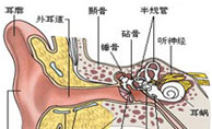 专科医院治疗耳聋,耳聋患者选中大