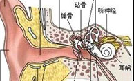 耳硬化症如何科学诊断以及如何佳治疗